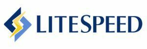 LiteSpeed logo with blue and yellow design