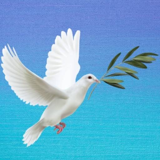 Spiritual Canva Colours 512